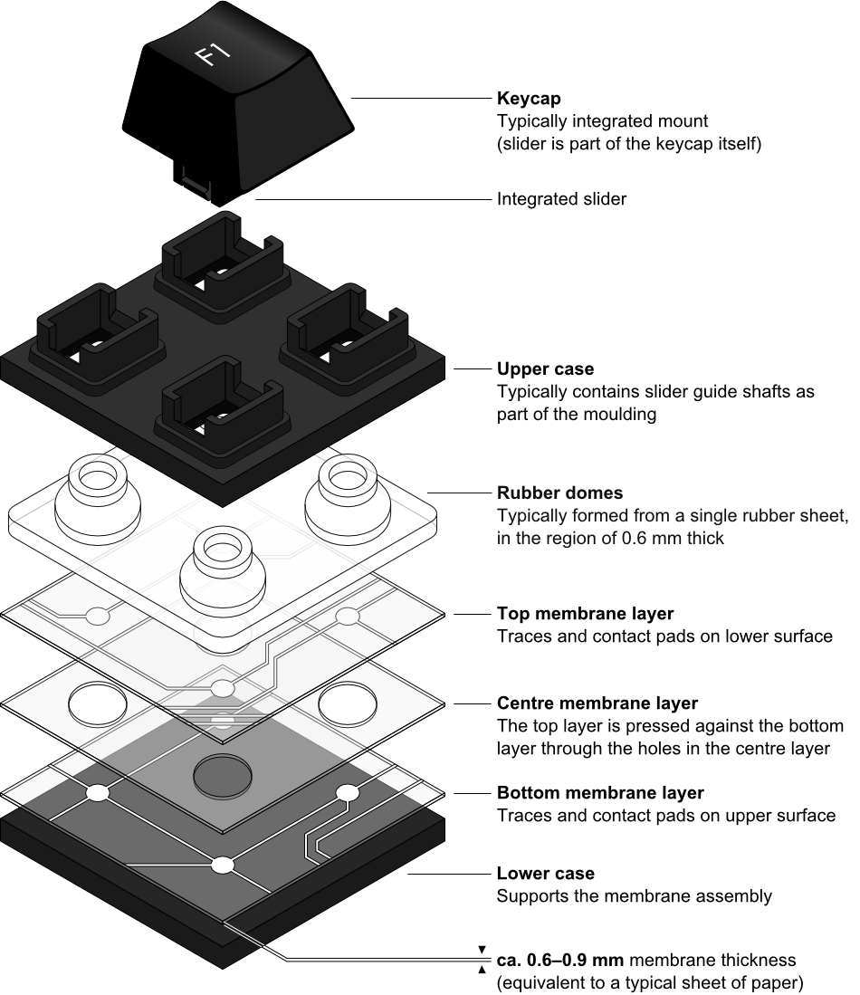 Rubber dome over membrane, exploded.png