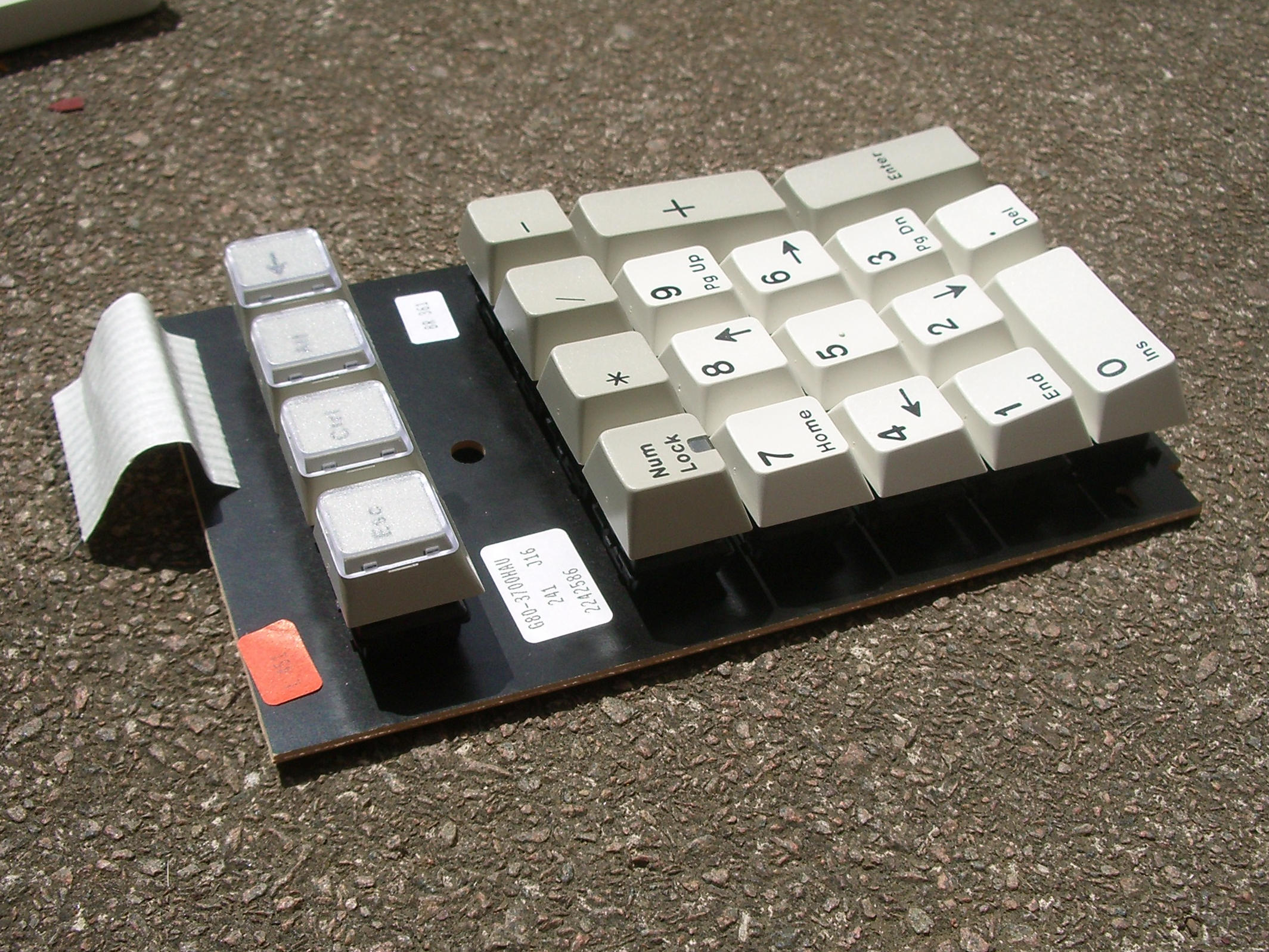12 PCB with keycaps on the switches.jpg