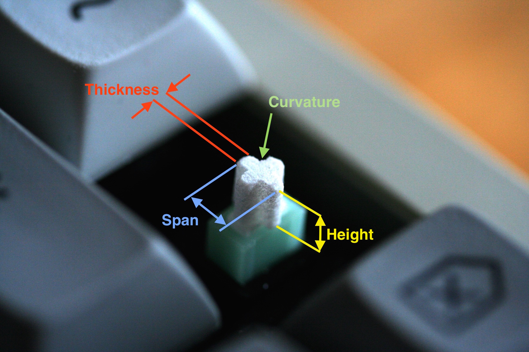 Adapter Closeup - Annotated.JPG