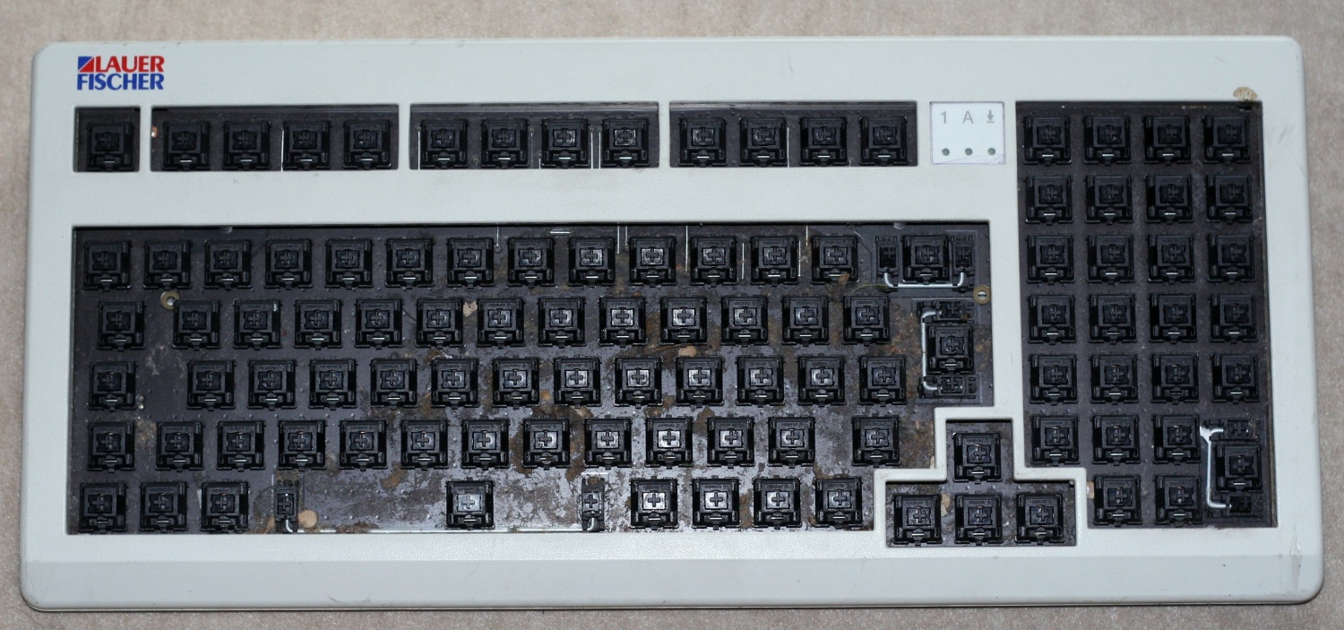 A picture of the complete keyboard without caps, before steam cleaning, after vacuuming.
