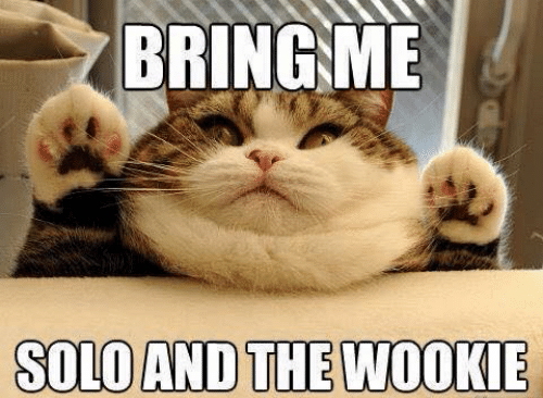 jabacat.png
