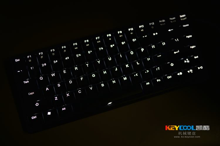 White backlight