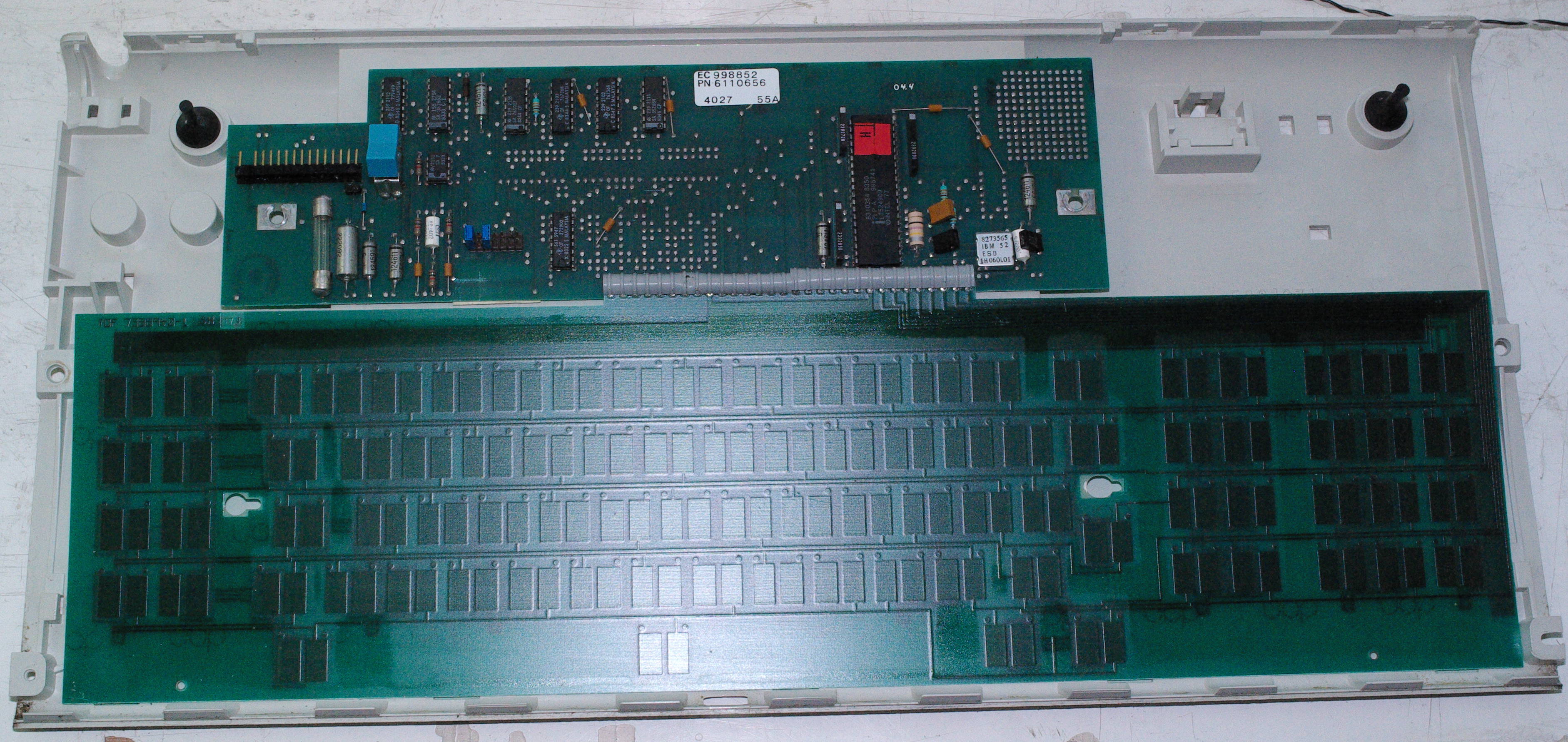 IMGP7813.JPG