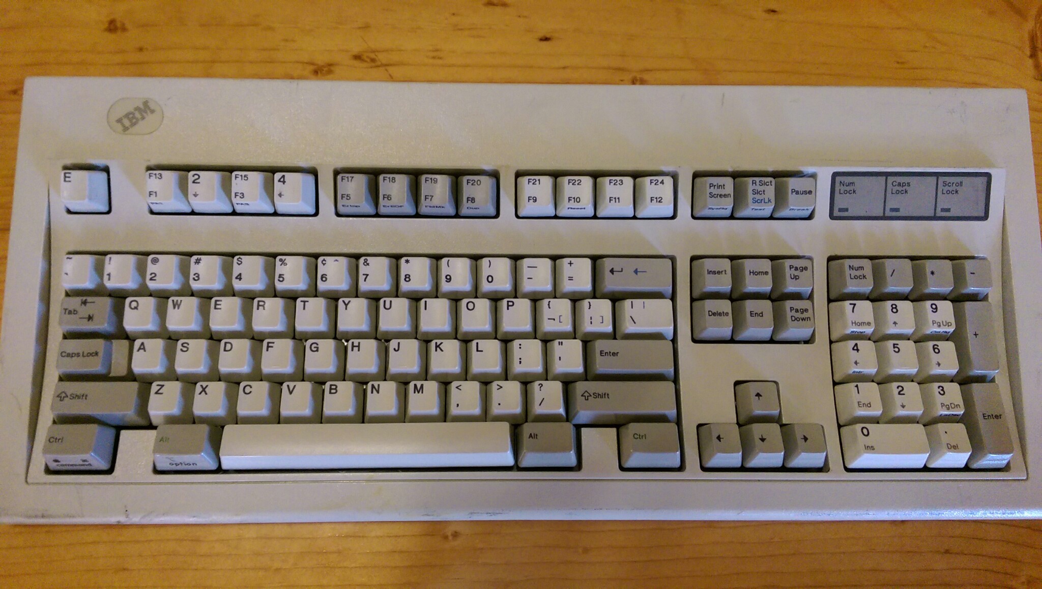 IMAG0837.jpg