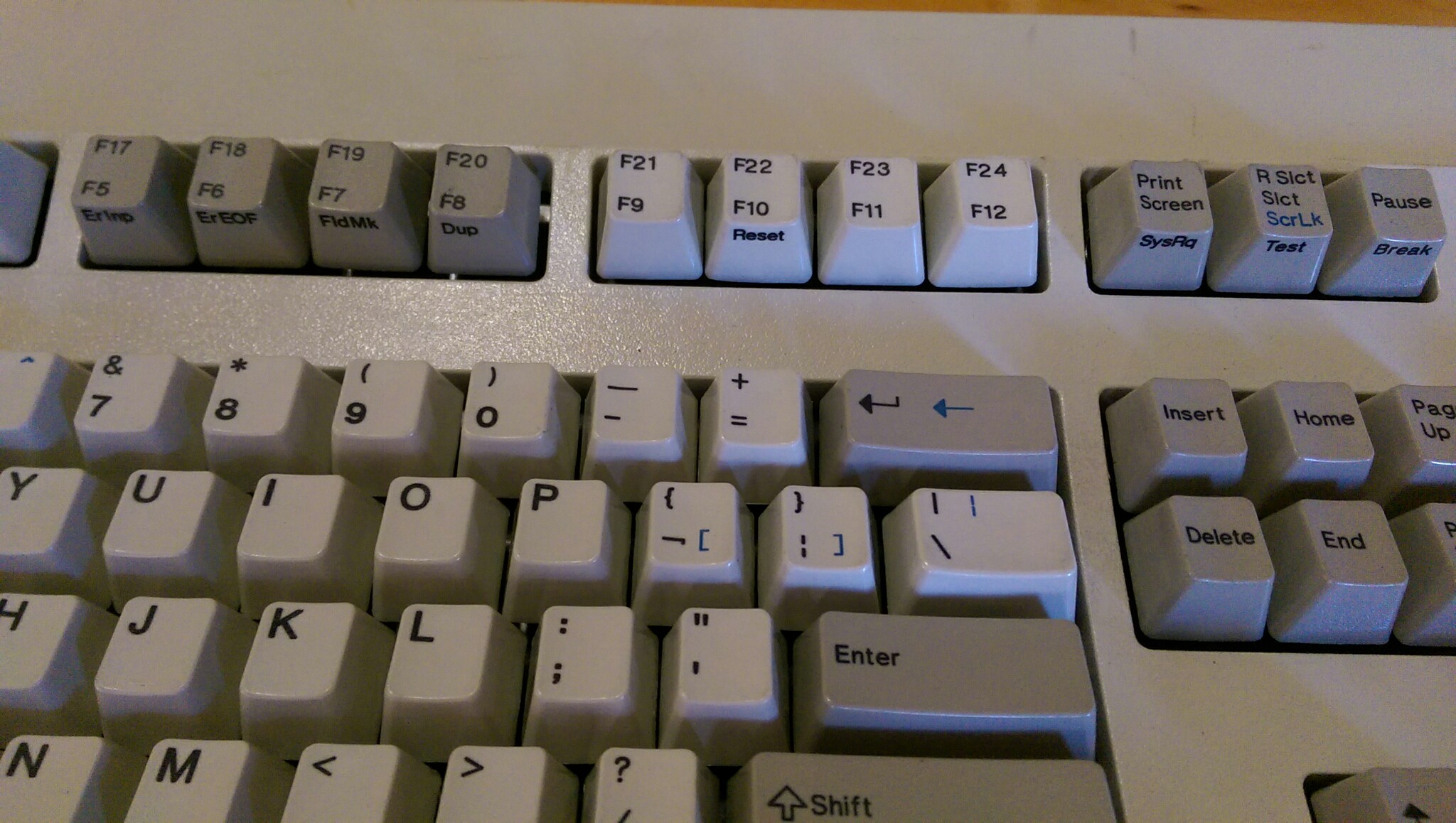 IMAG0838.jpg