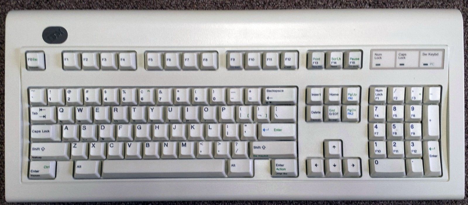 6247440.JPG