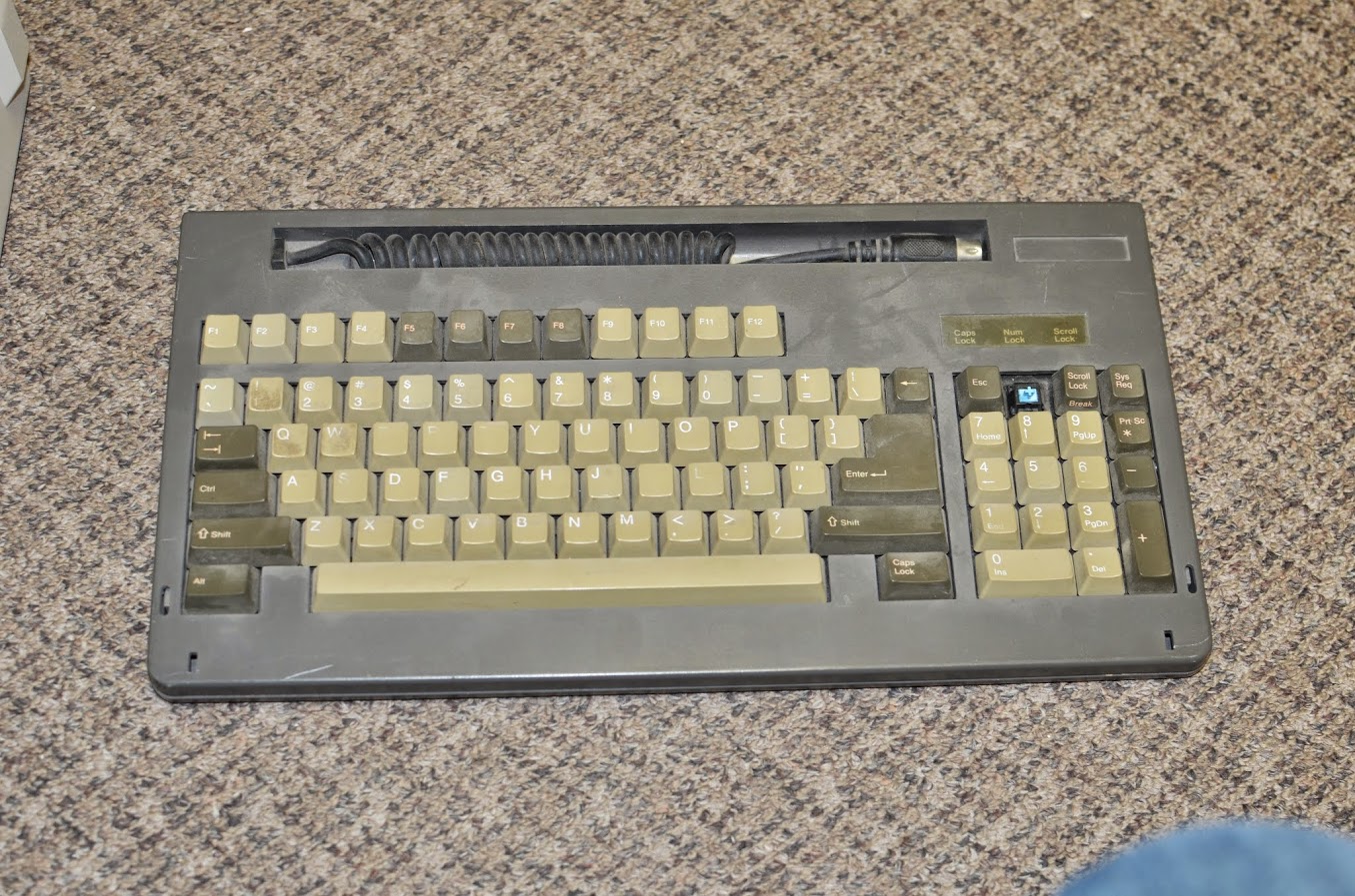 DSC_3176.JPG