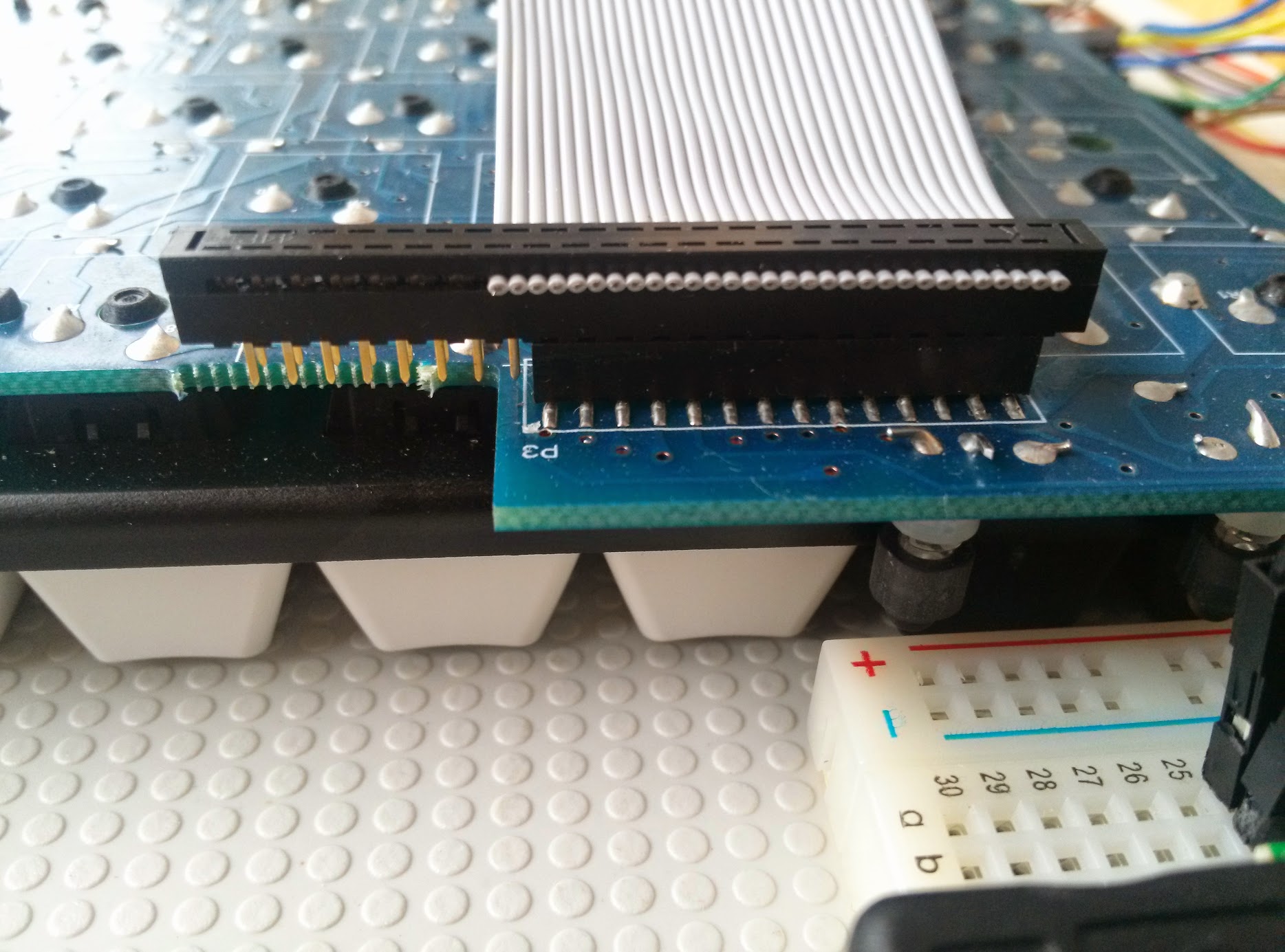 CAM00806-small.jpg