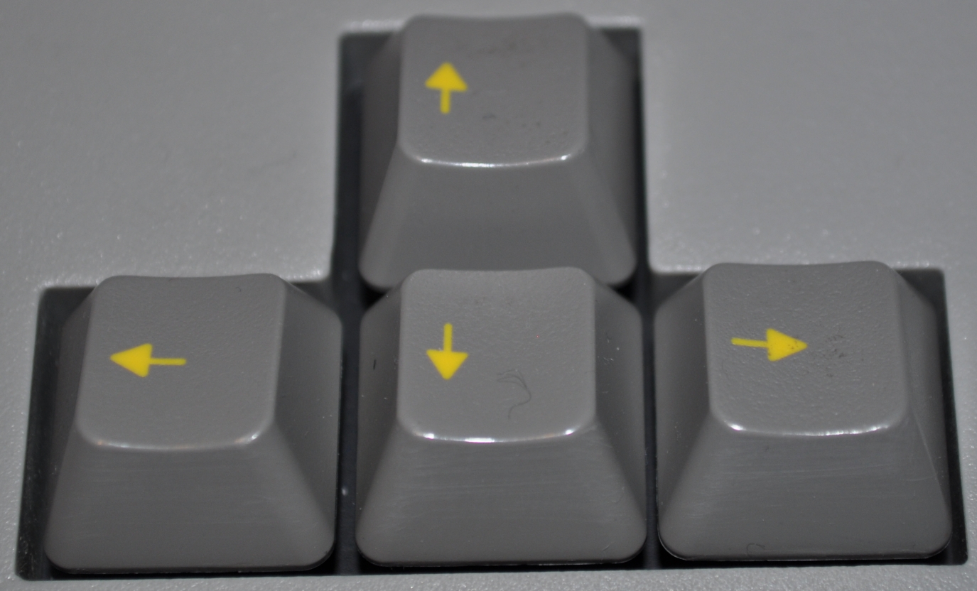 Wyse_3.jpg