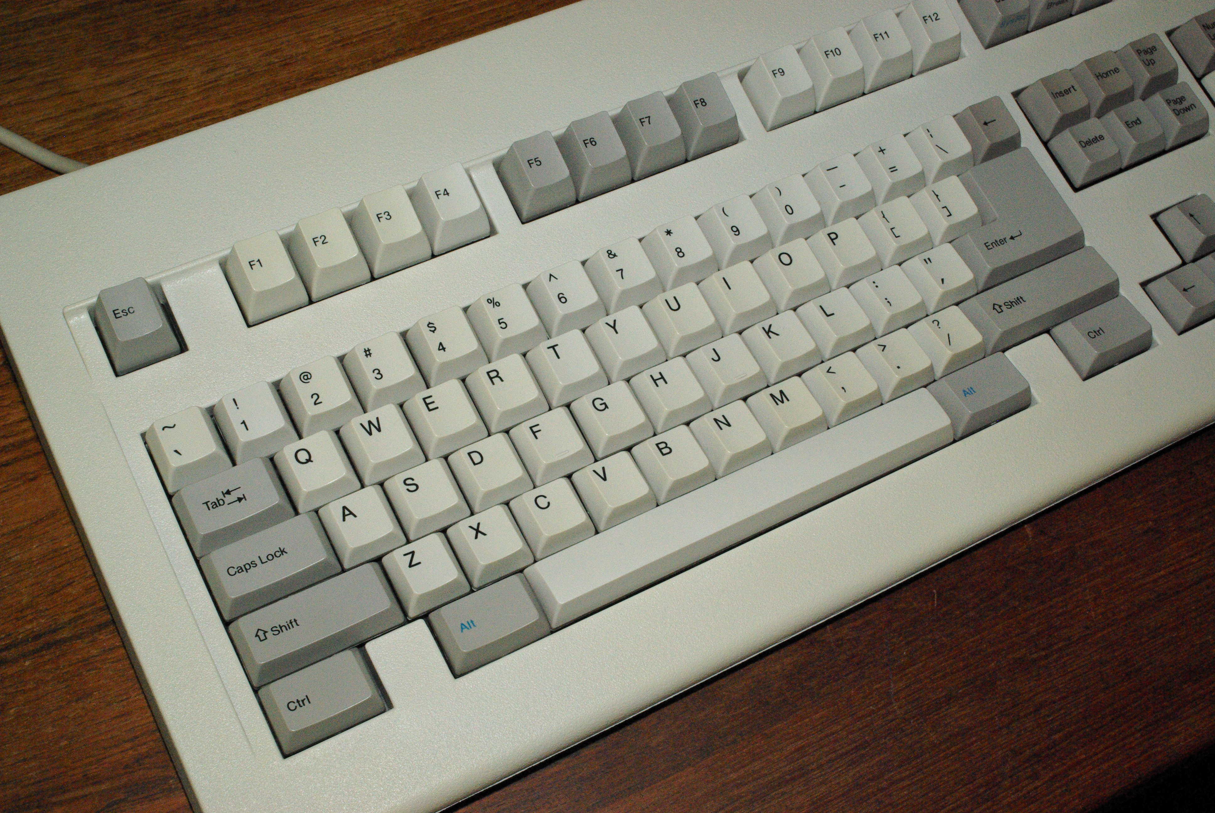 IMGP9550.JPG