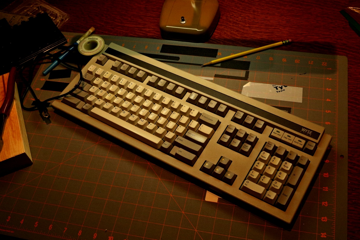 1P9A9963.JPG