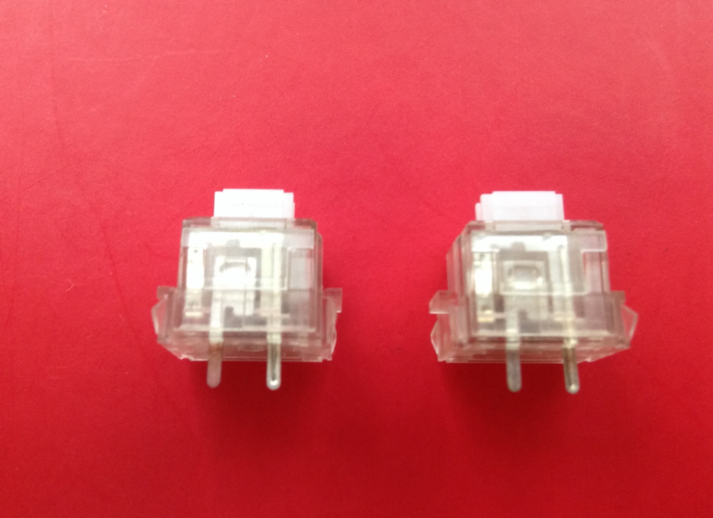 Guangdong Alps vs Matias Alps - 1.jpg