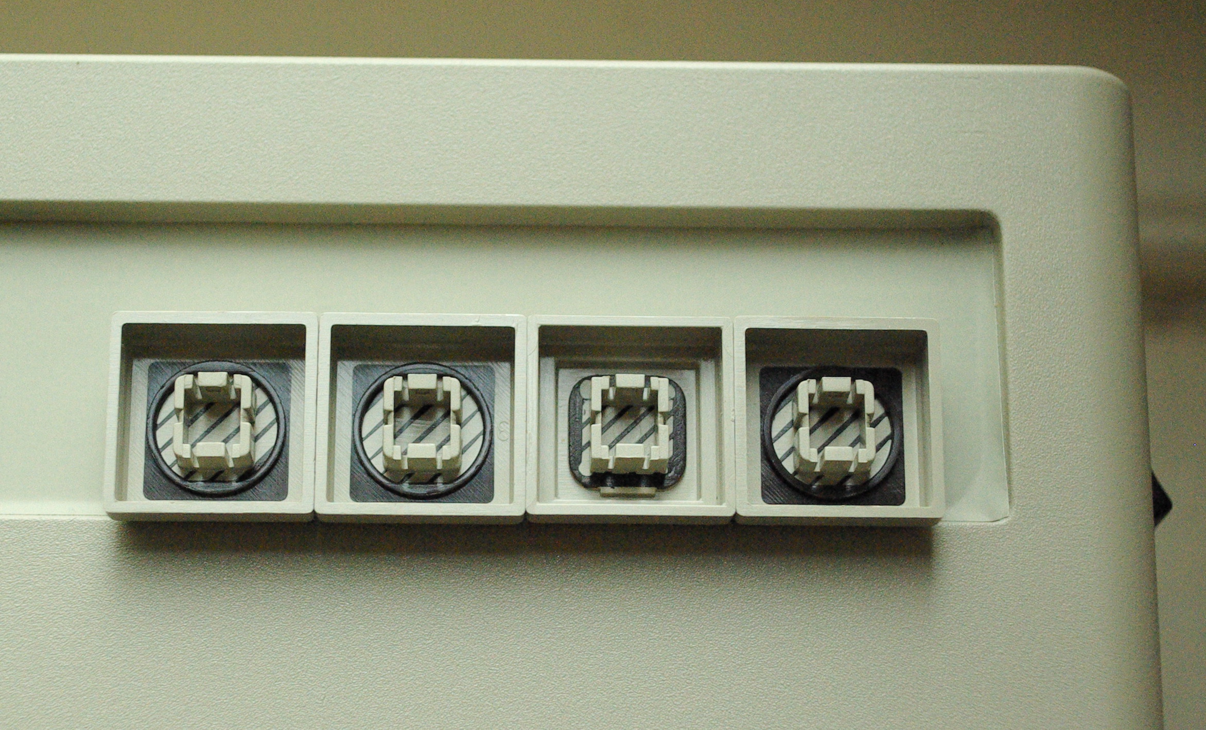 IMGP9915.JPG