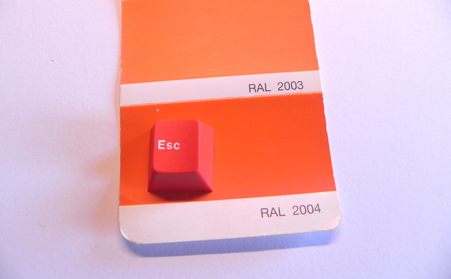 RAL 2004
