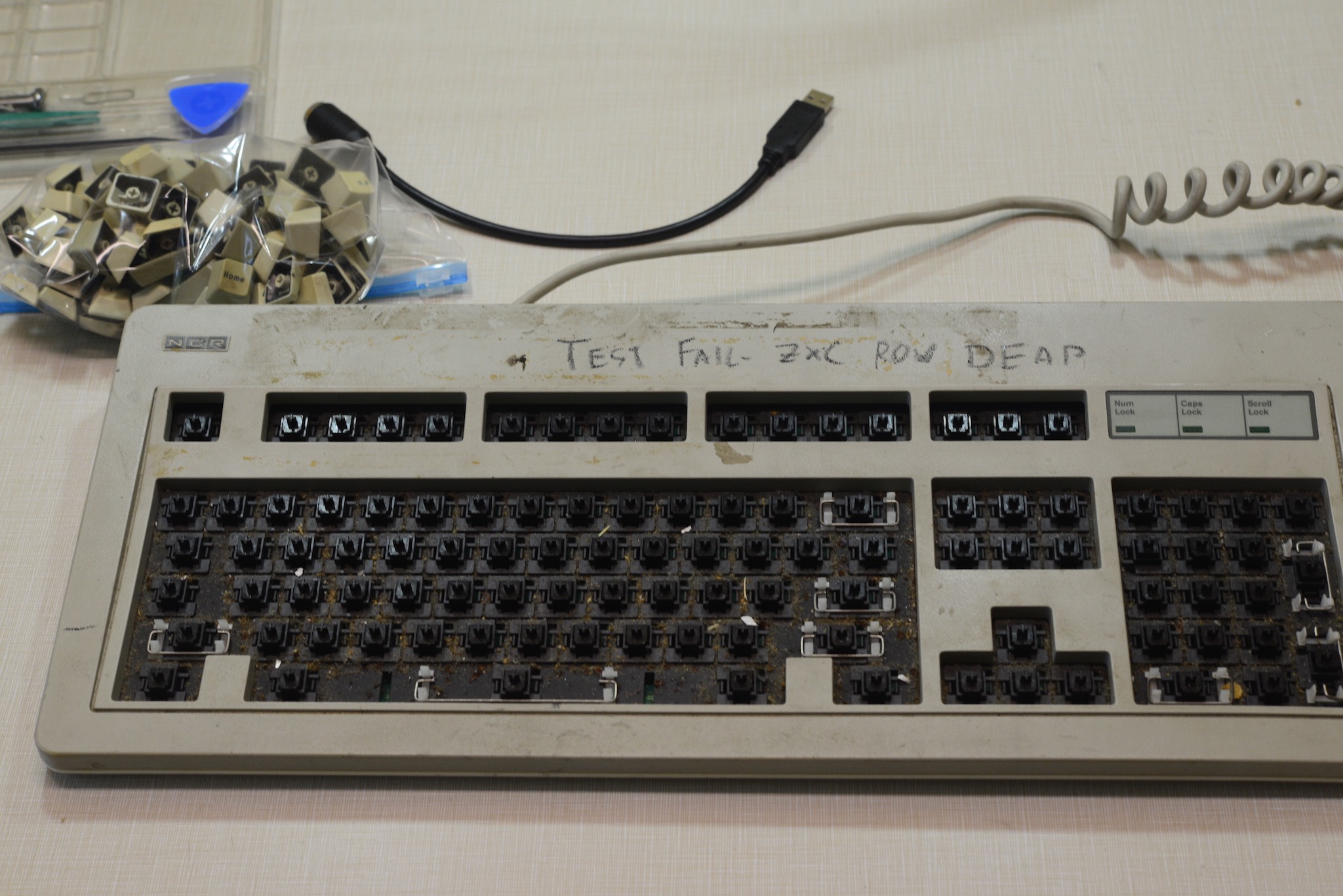 DSC_1748.jpeg