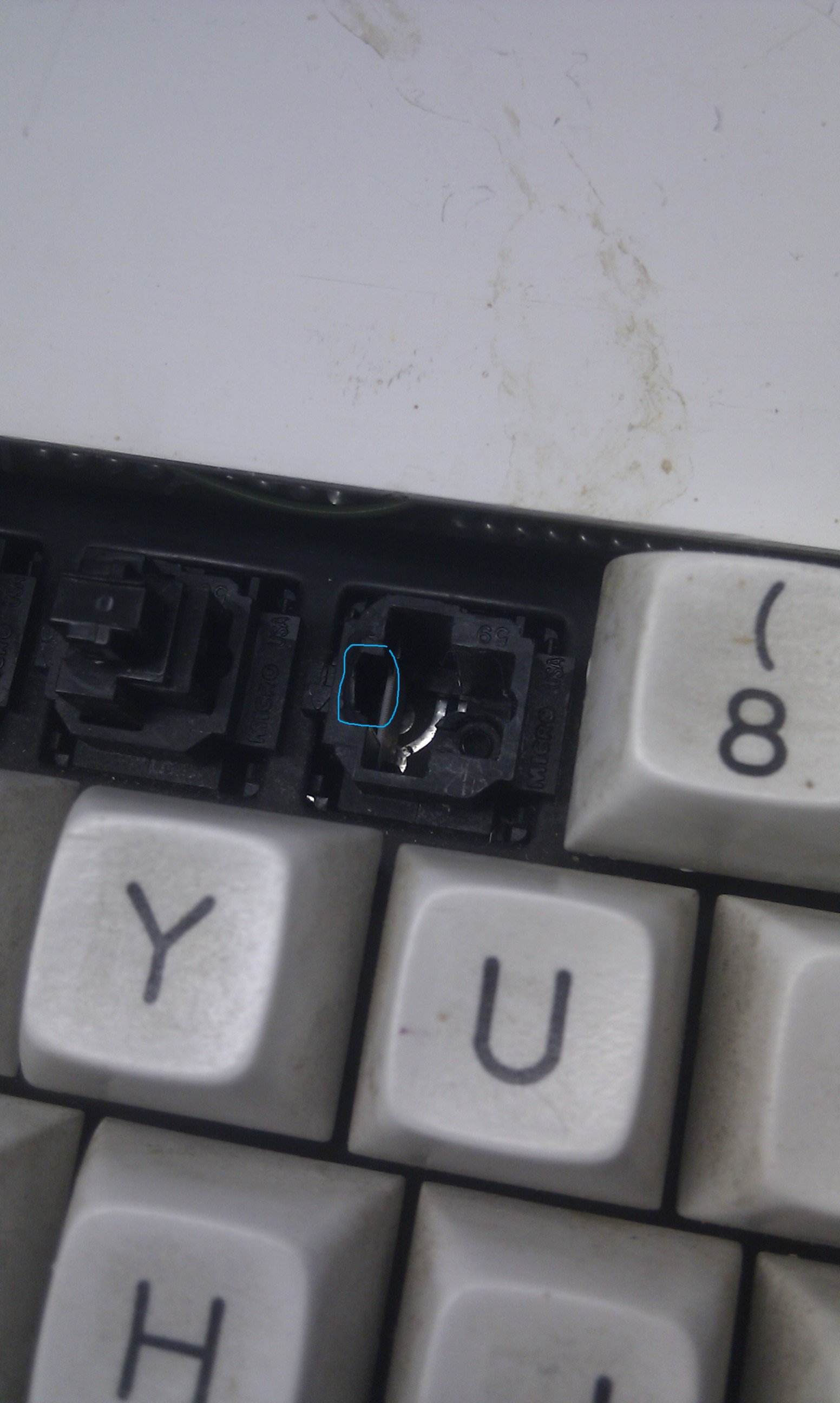 IMAG0680-marked.jpg