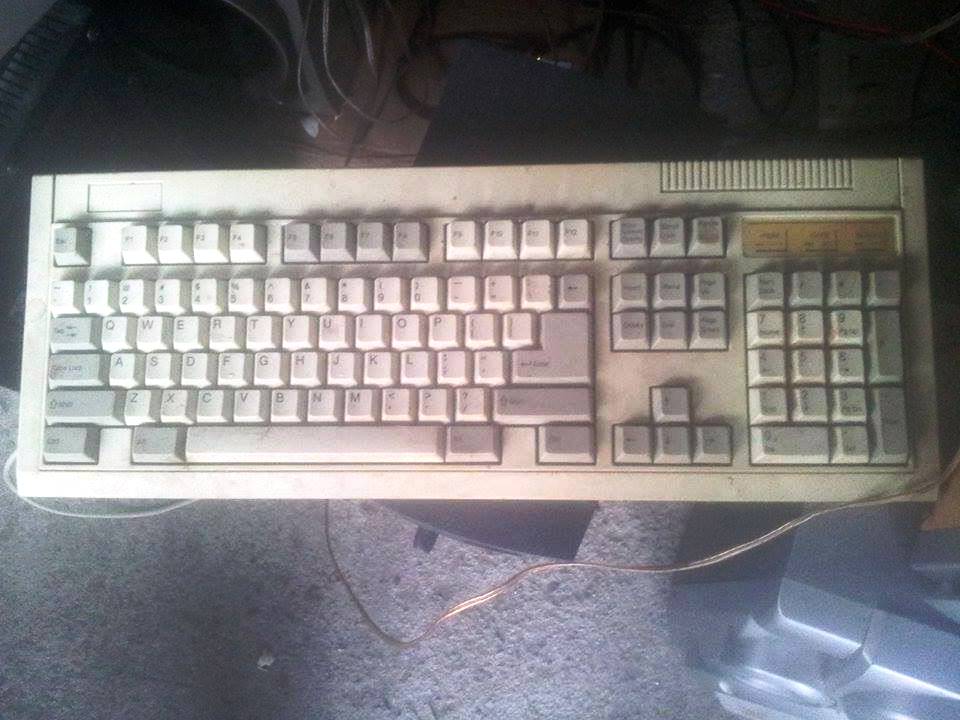 12188443_1189770604384680_438117632_n.jpg