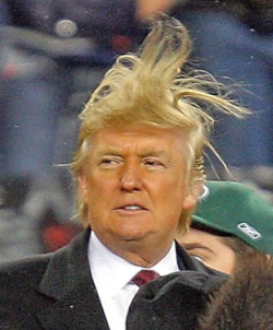 hair.jpg
