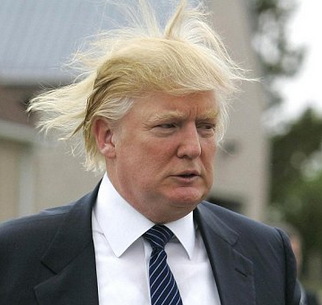 TheDonald.PNG