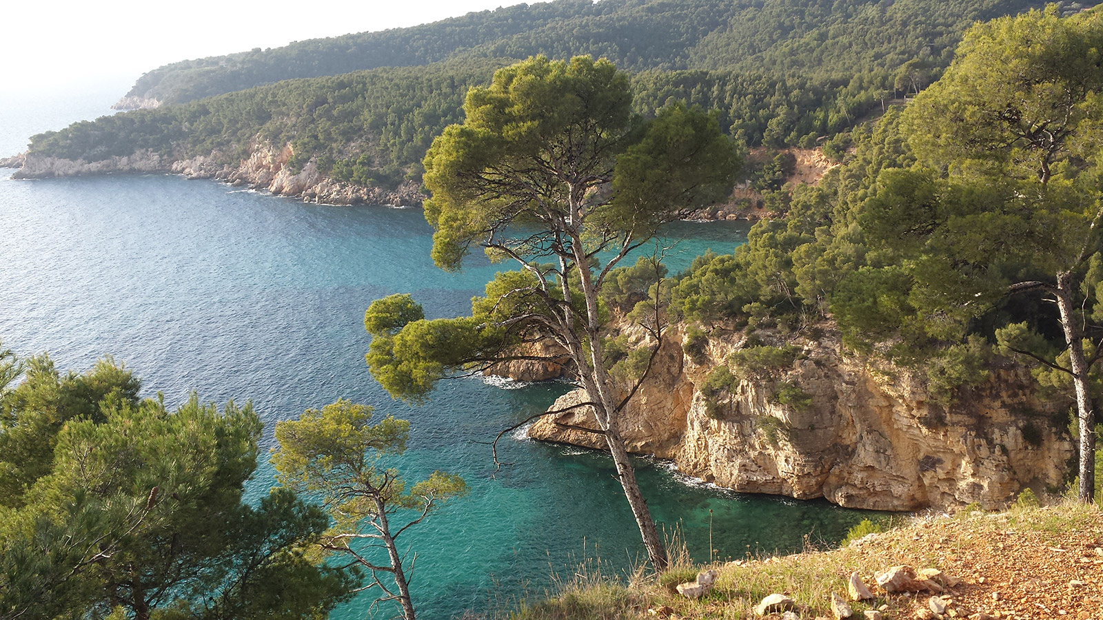bandol1.jpg