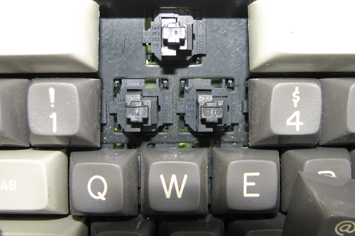 micro2.jpg