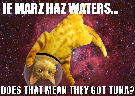 tuna.jpg