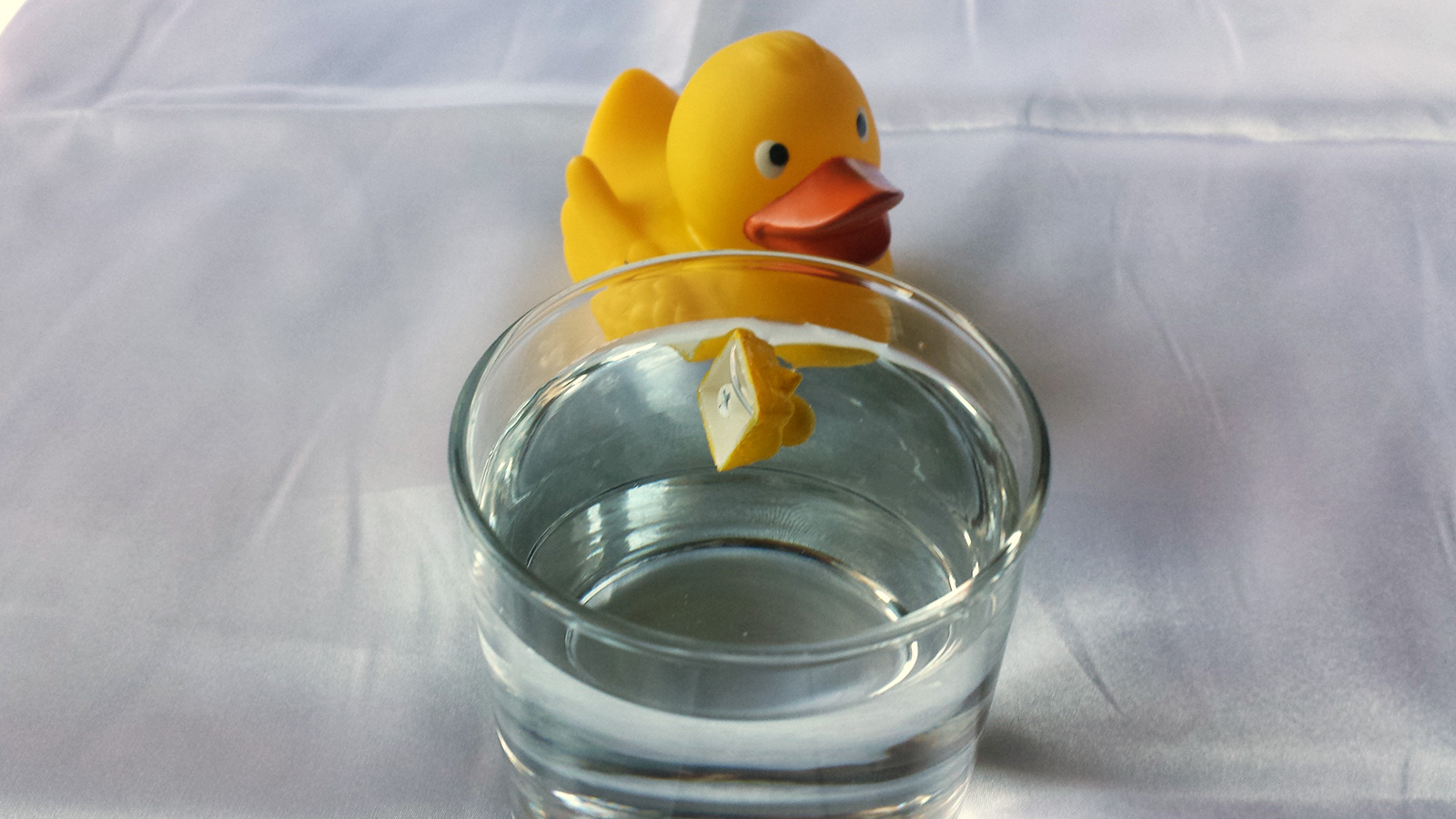 duckfloat1.jpg