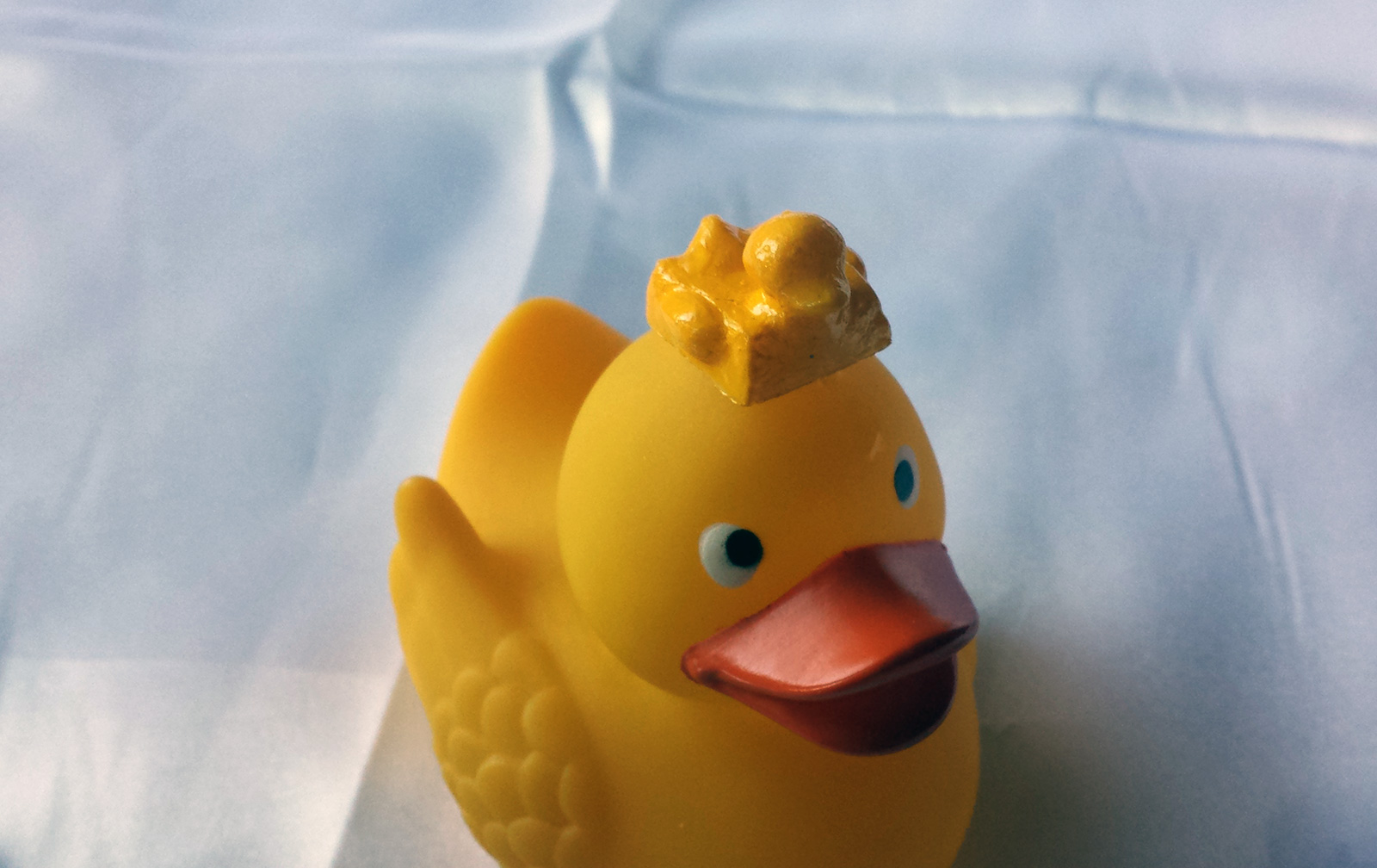 duckfloat2.jpg