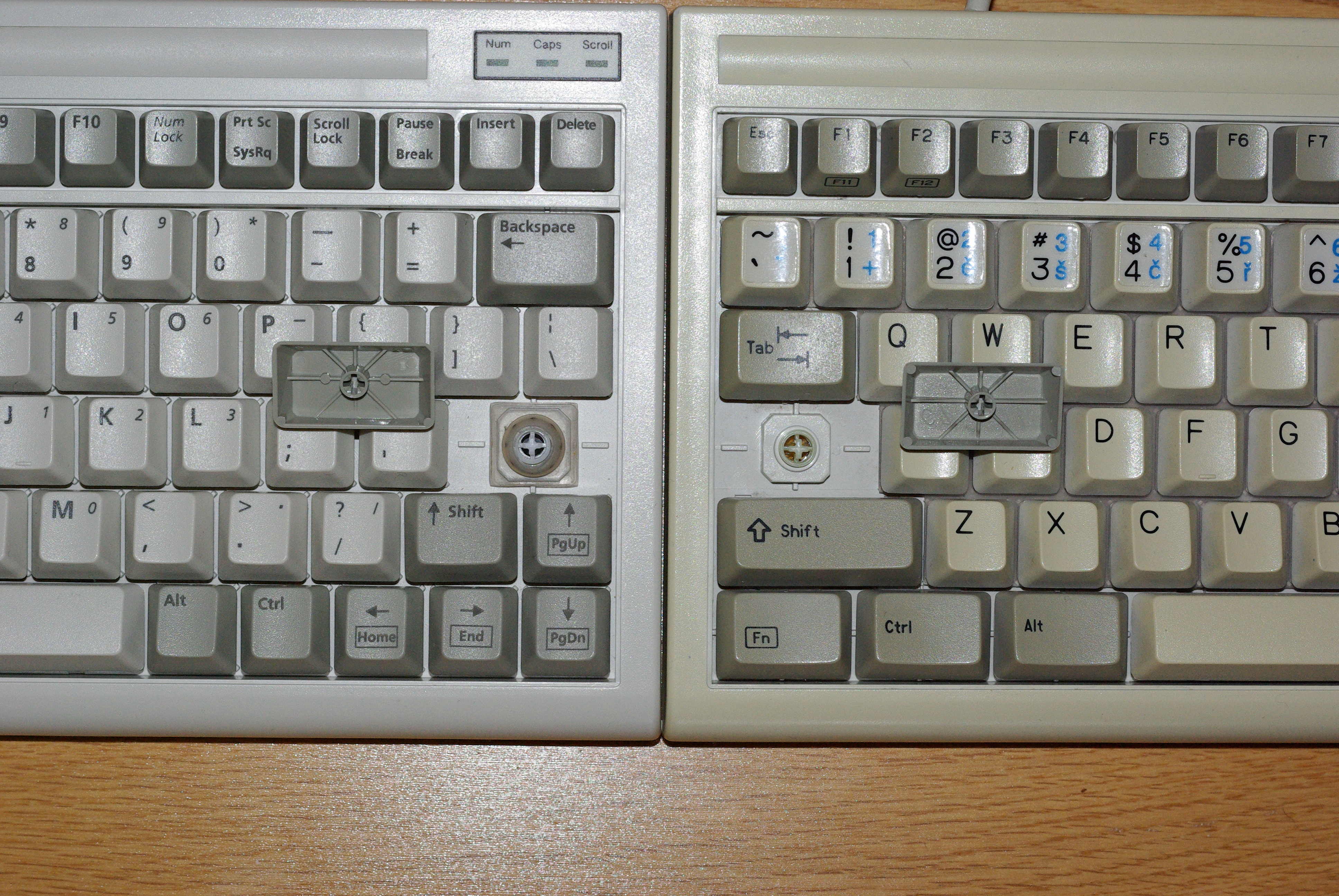 IMGP4570.JPG
