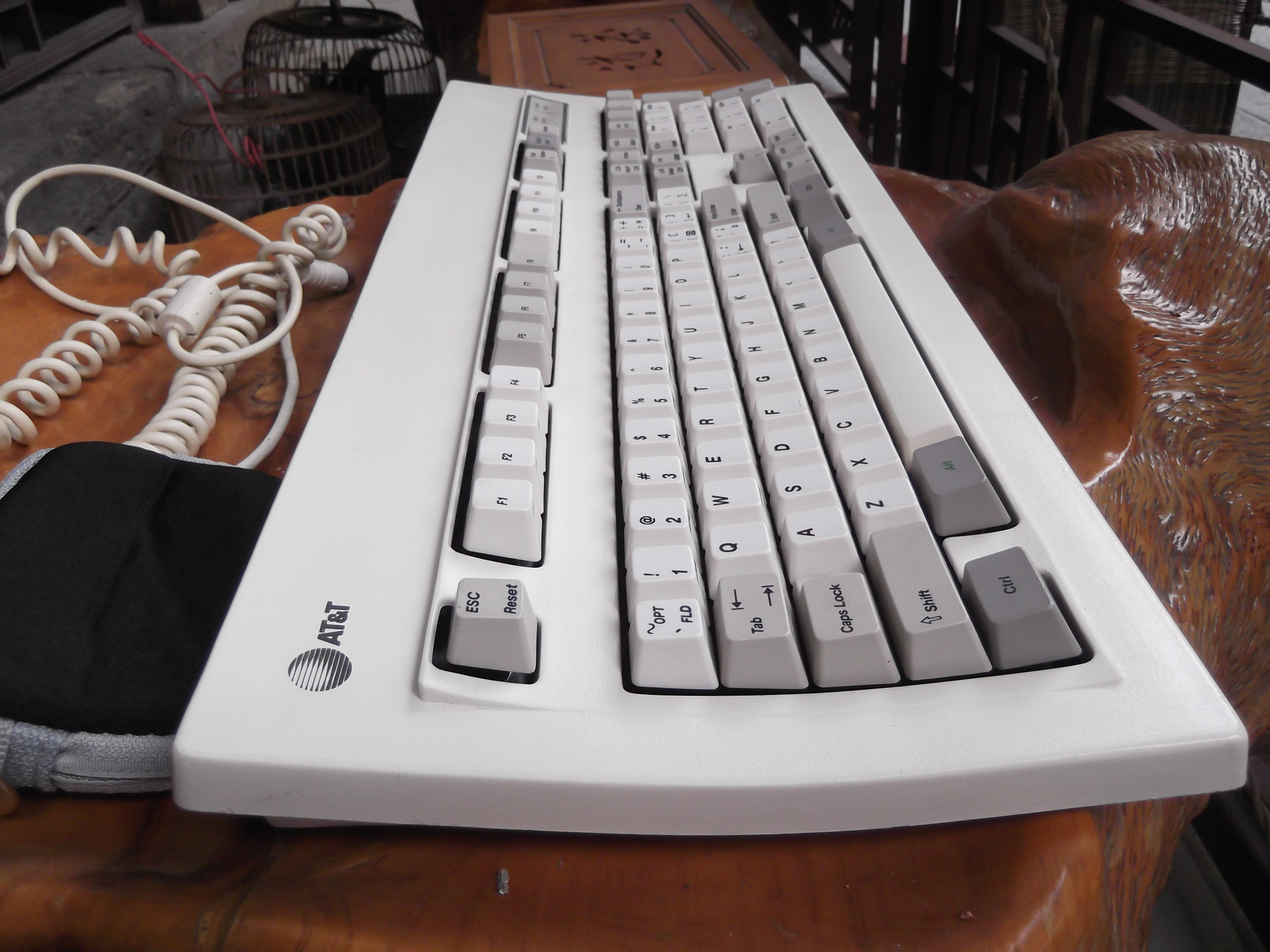 DSCF0571.JPG