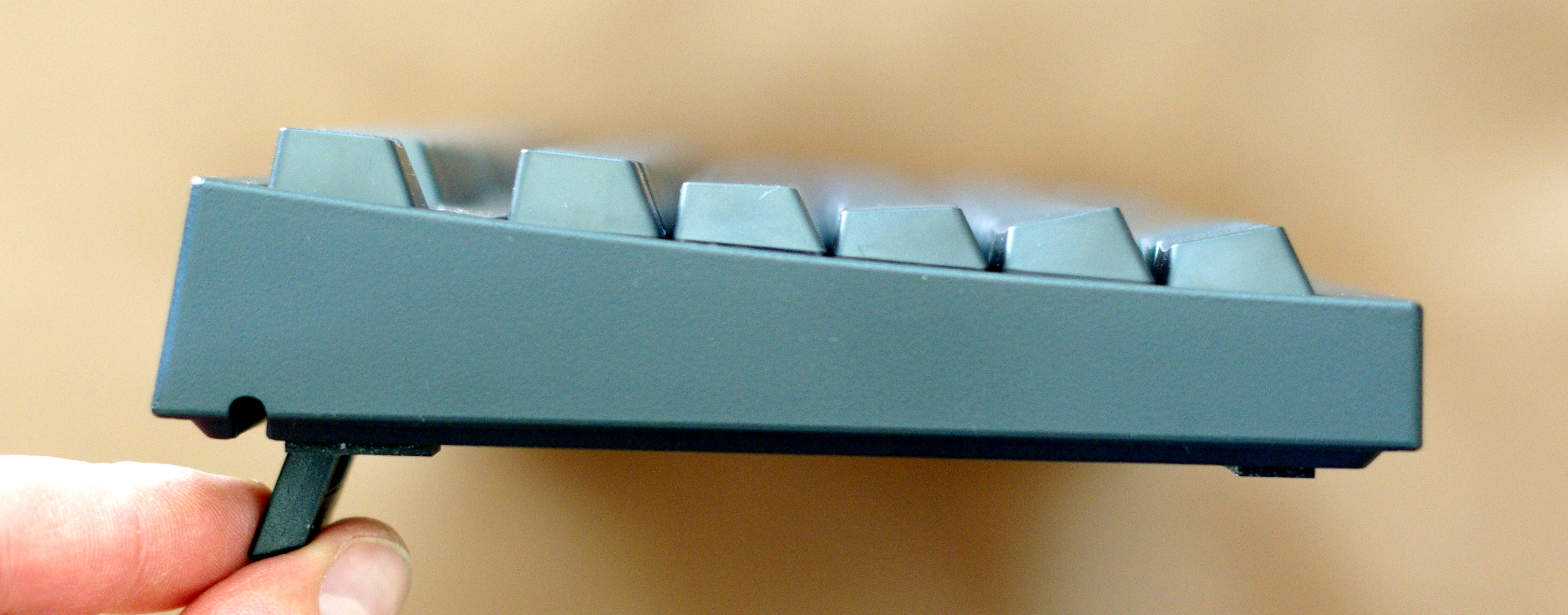 IMGP5961.JPG