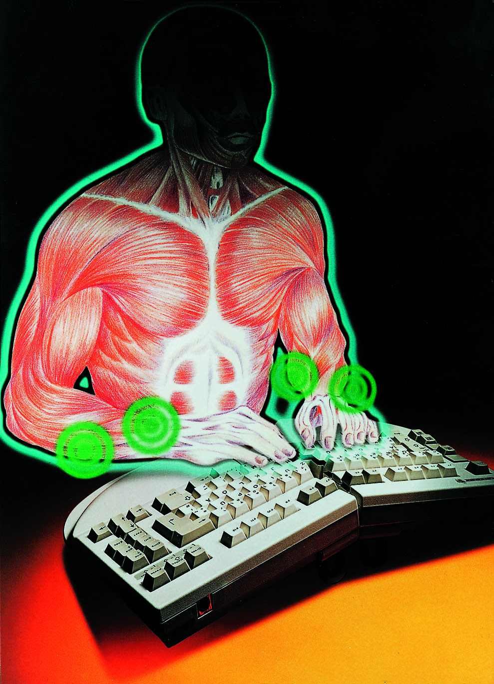 ErgoPlus
