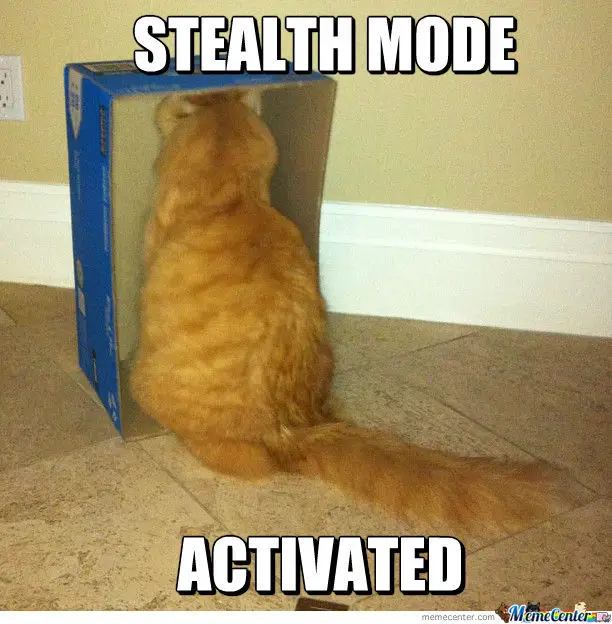 stealth-mode-activated_o_1168408.jpg