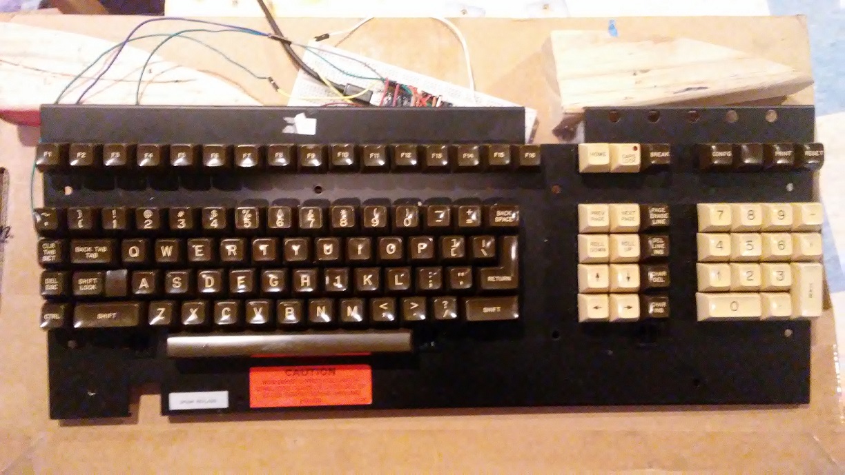 Teensy1.jpg