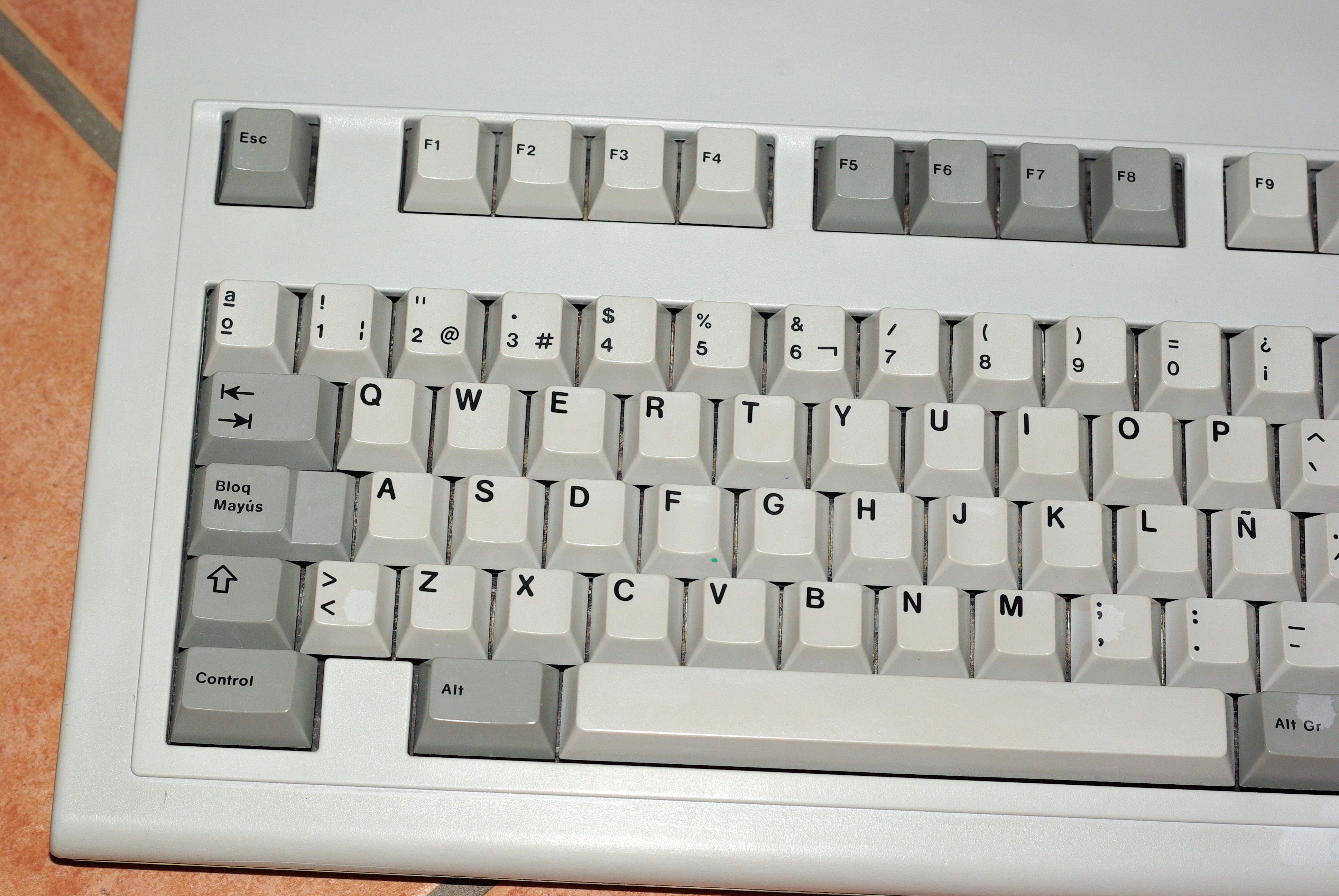 IMGP6620.JPG
