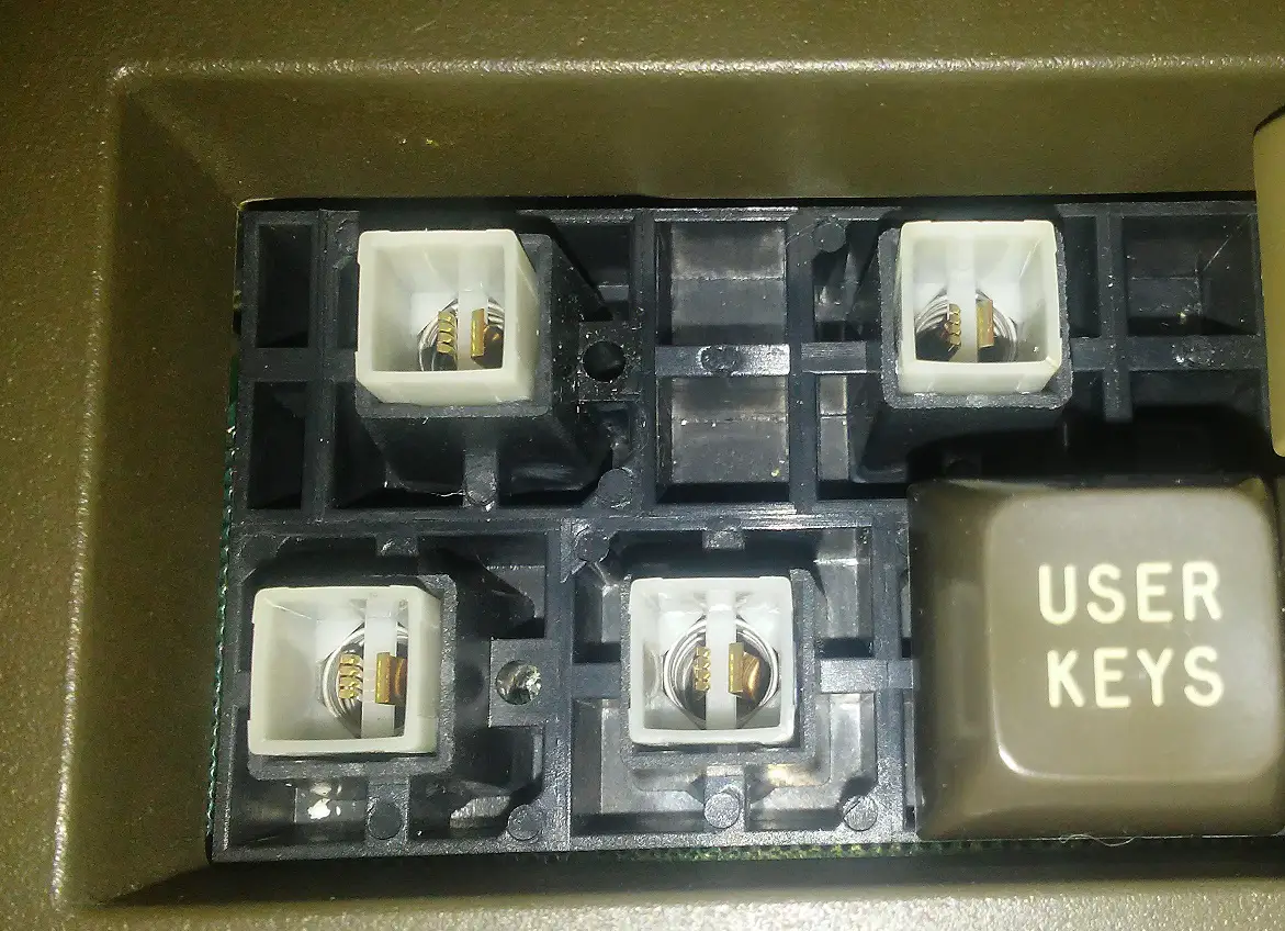 white_switches.jpg