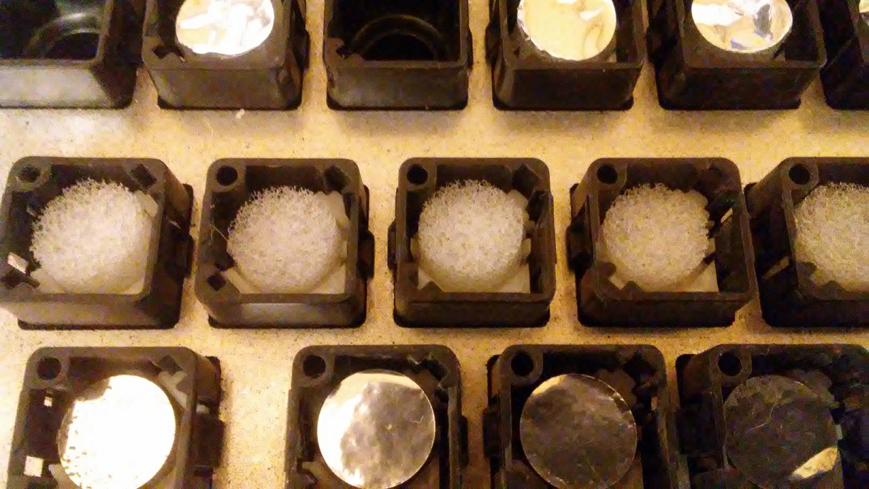s_foam1.jpg