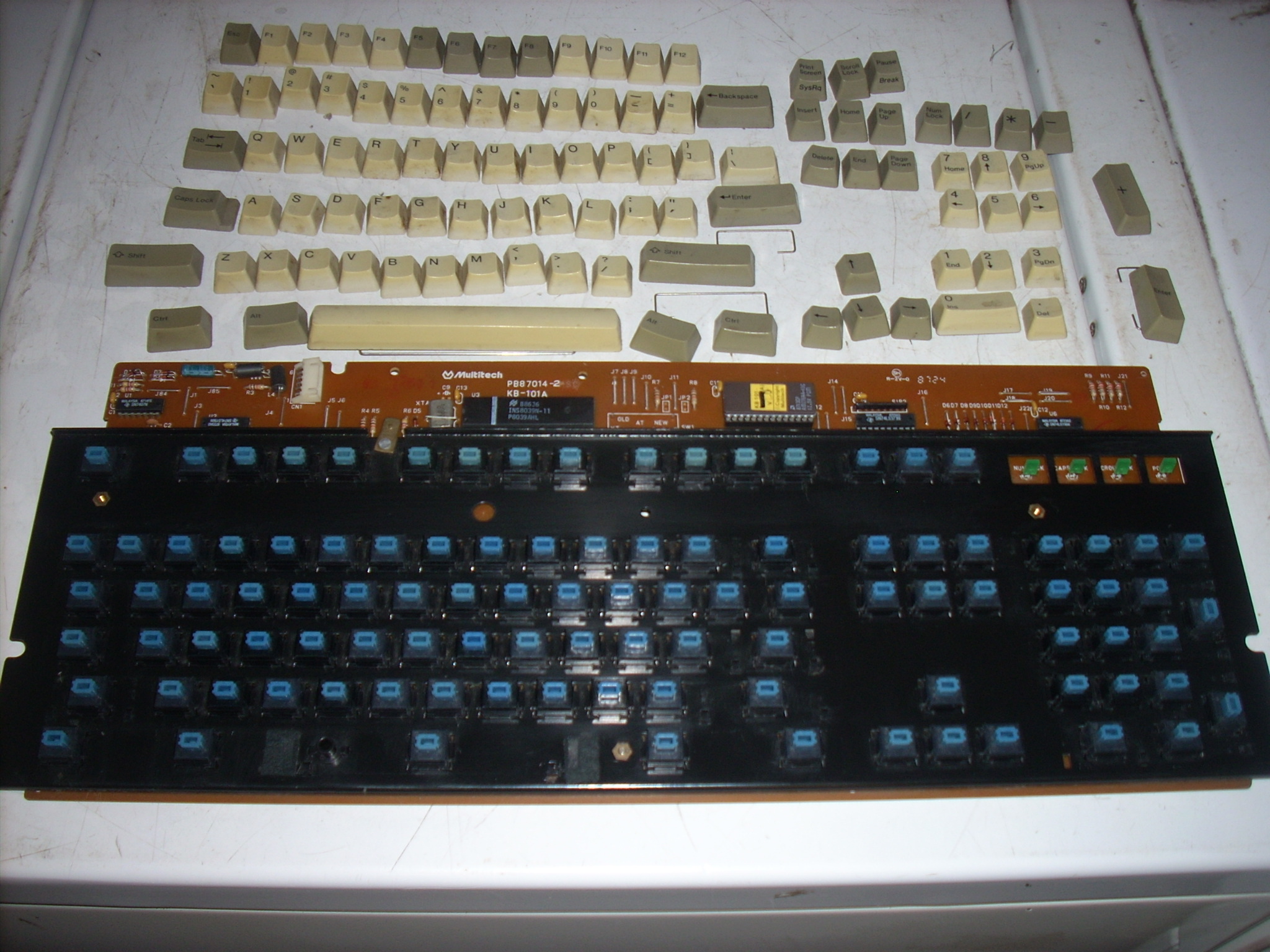 DSCN9788.JPG