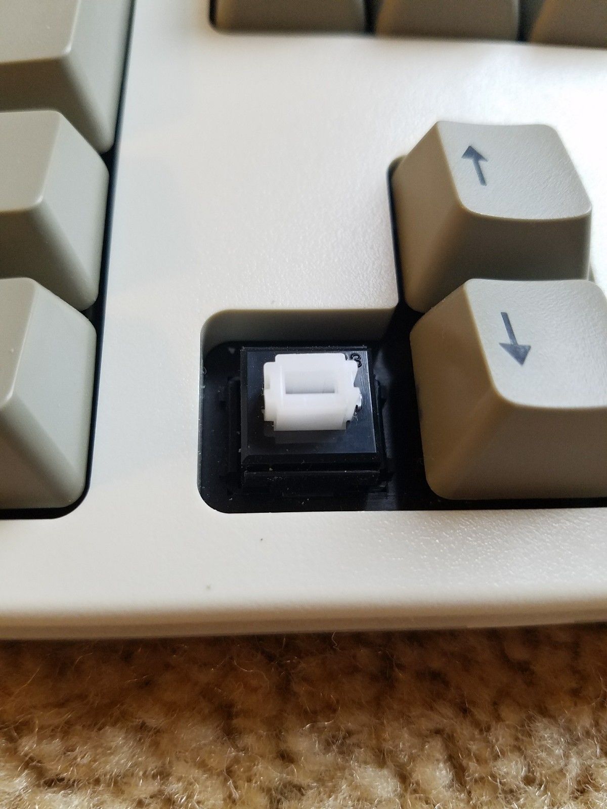 switch.jpg