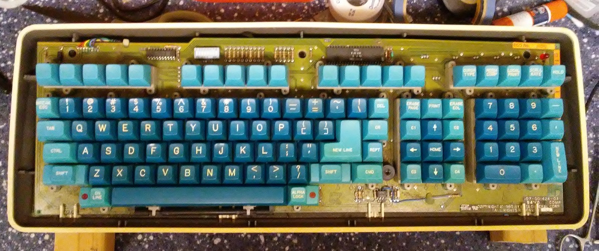dasher_open2_sm.jpg