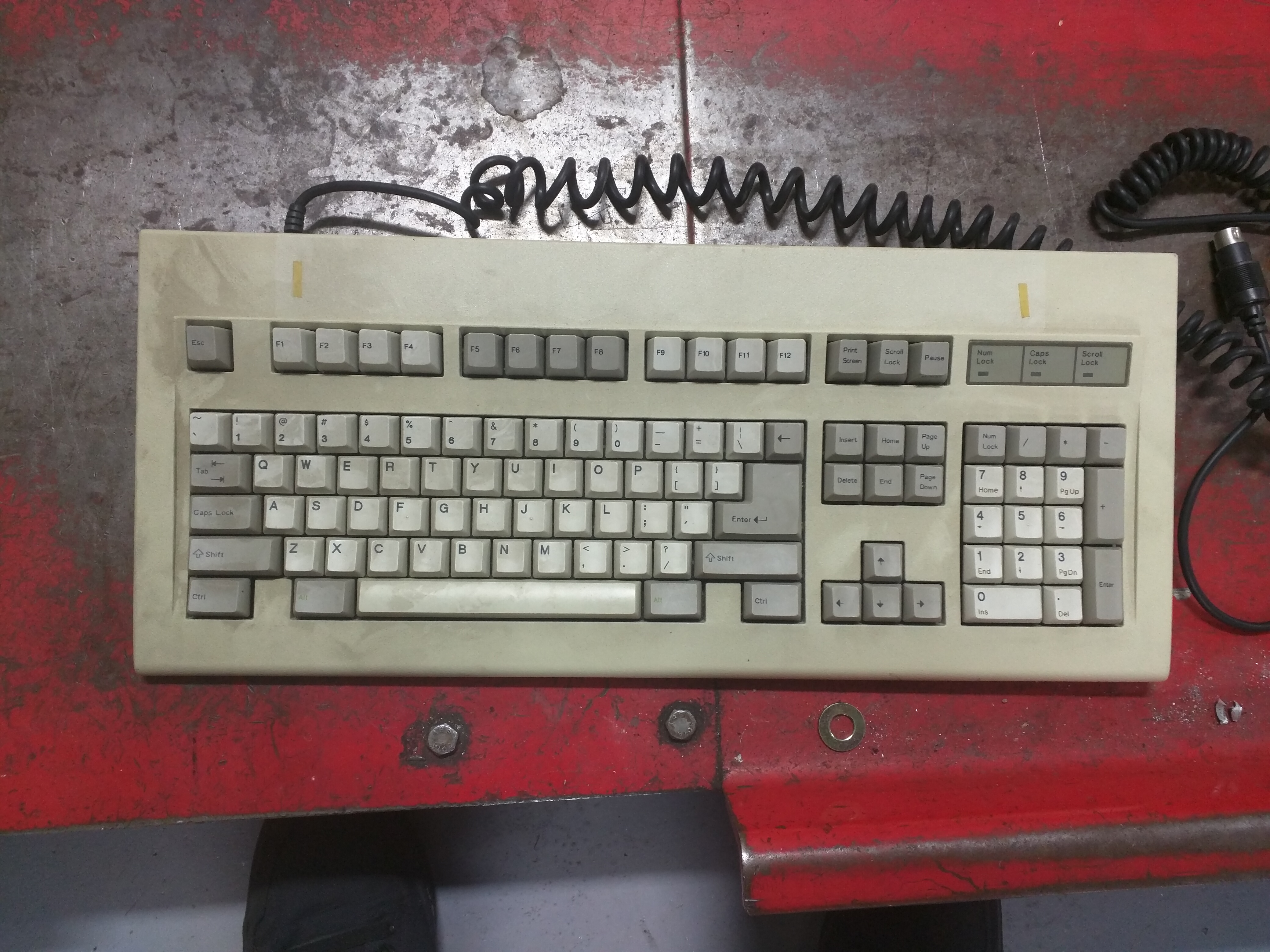 IMG1676574129.jpg