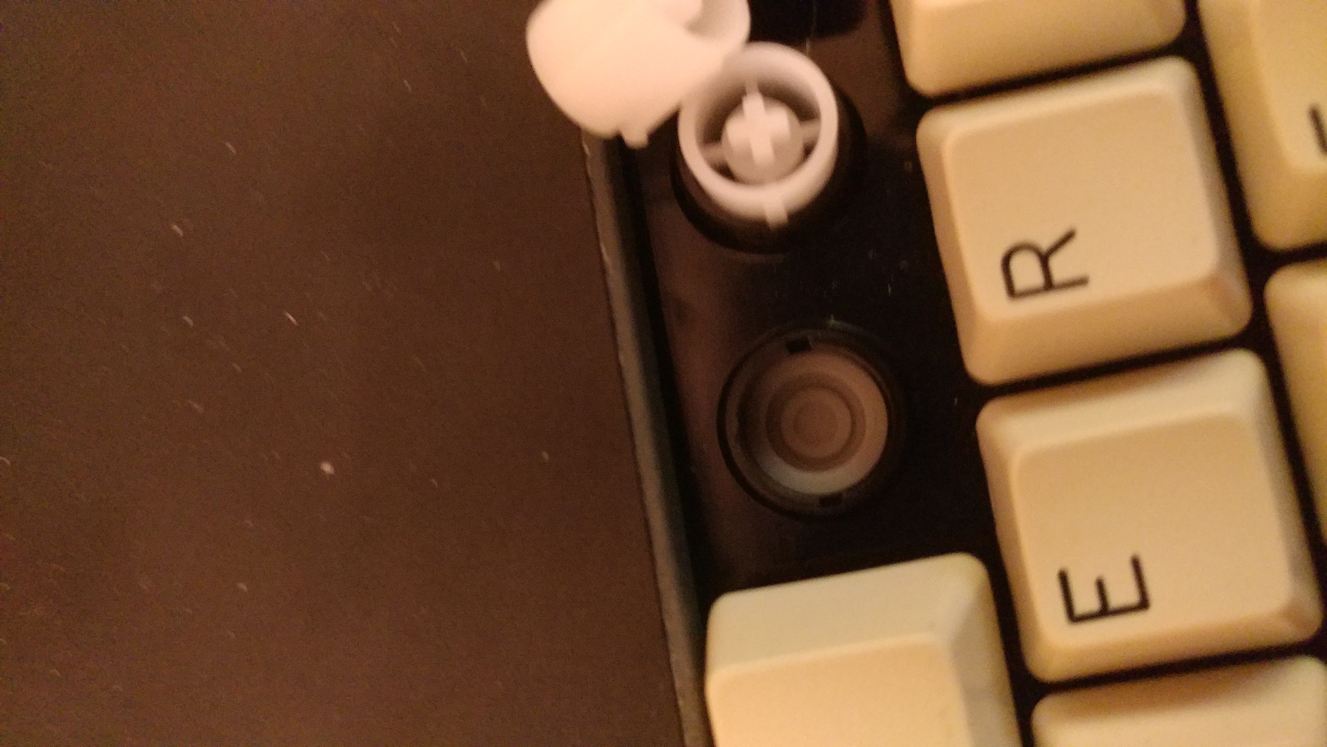 20180407_034449.jpg