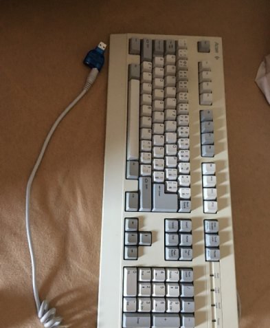 86261960.jpg