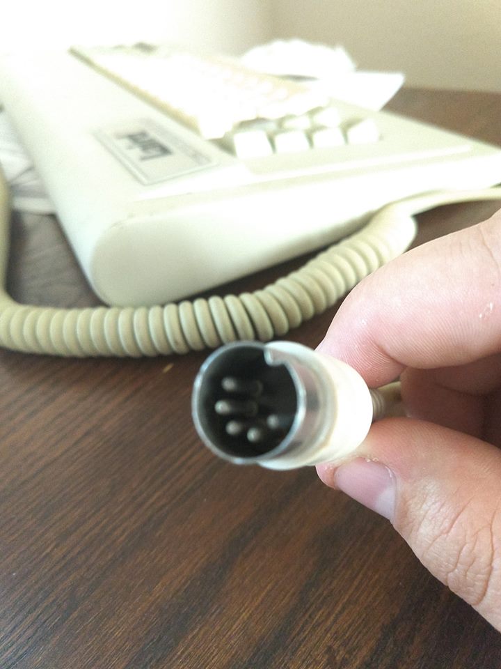37606747_10213215823330194_7818309202916409344_n.jpg