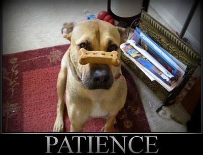 patience_small1.jpg