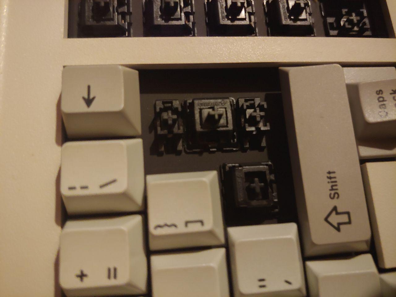 kimtrom5.jpg
