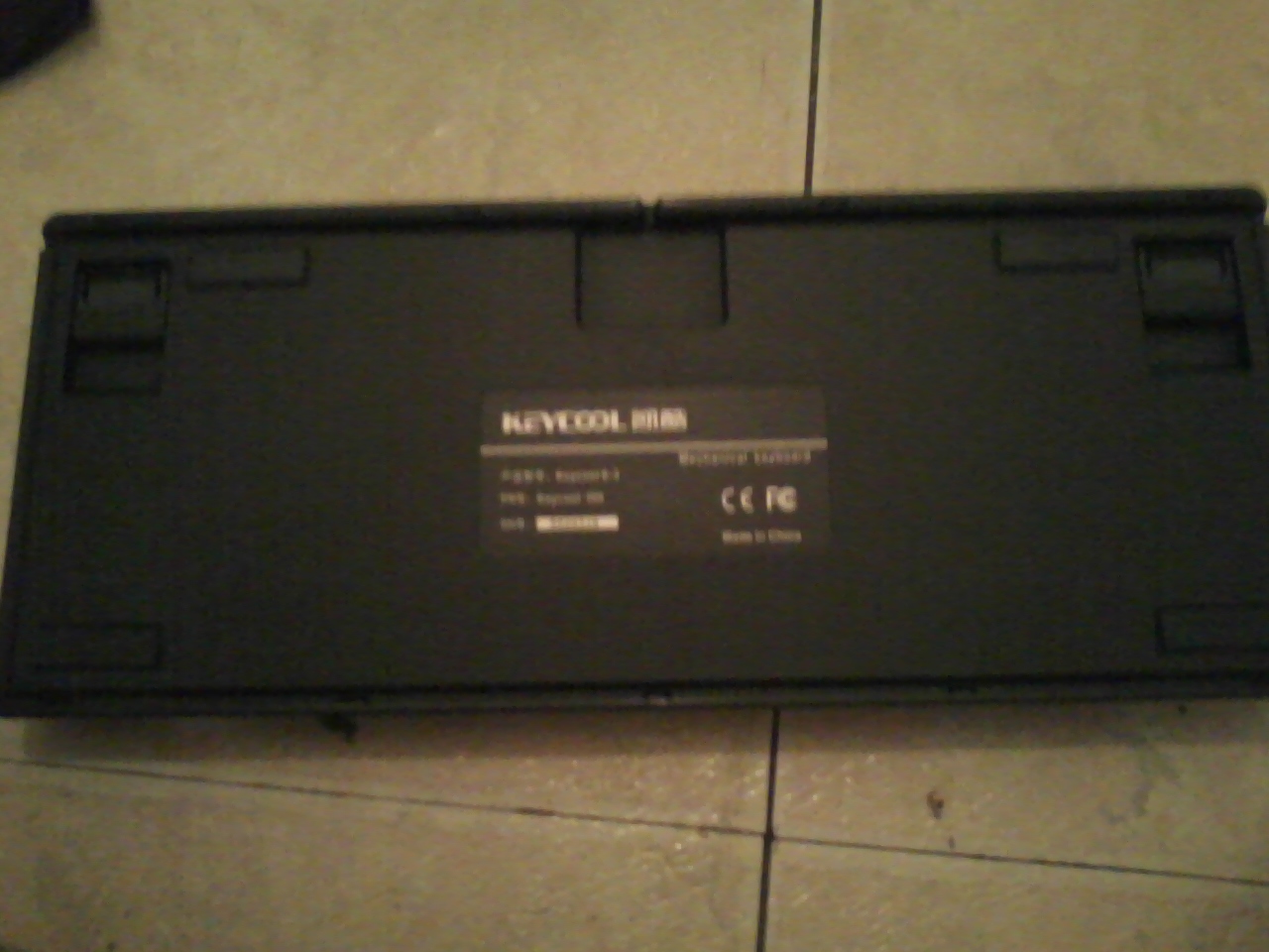 The back