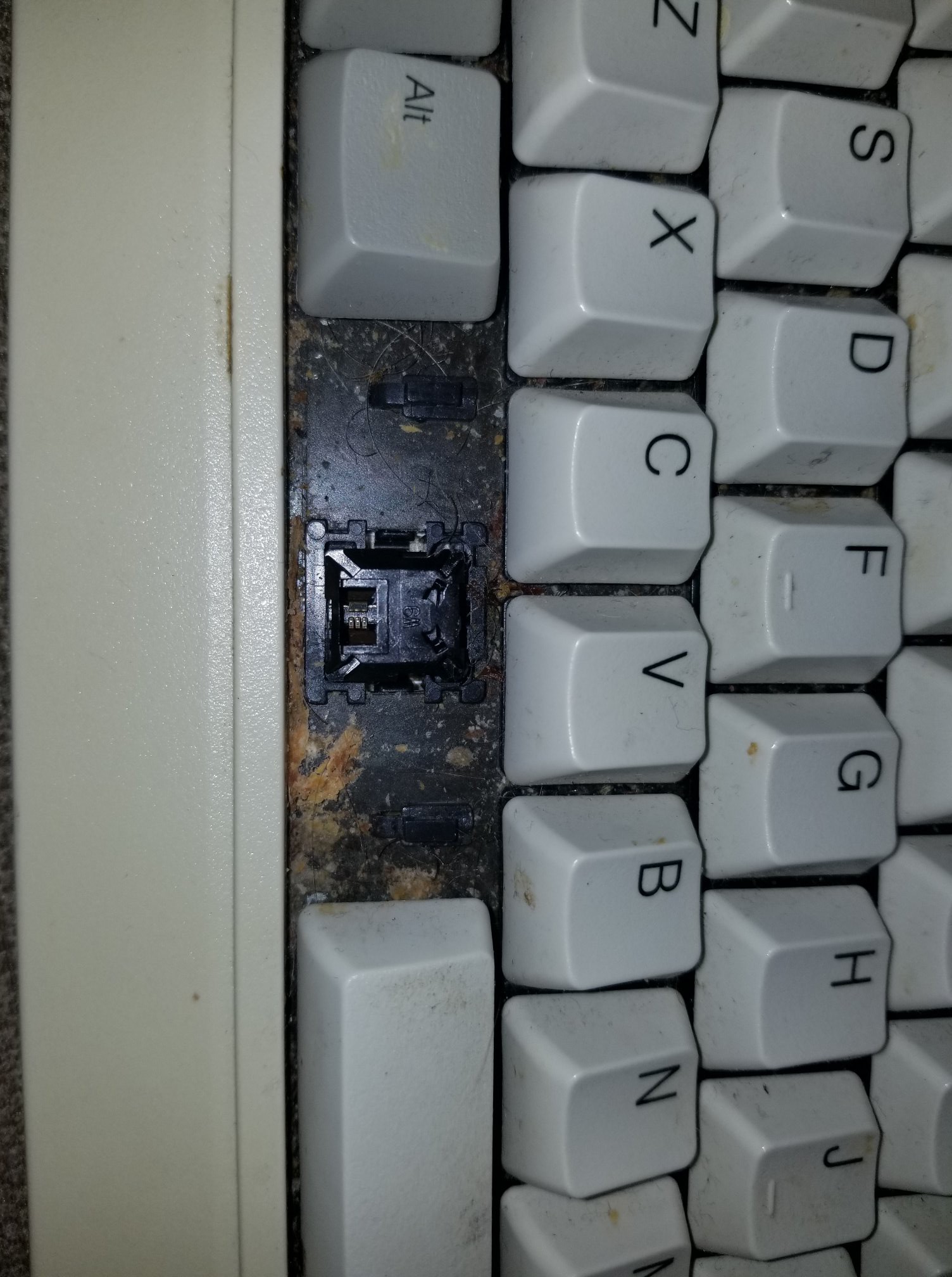 8255gross.jpg