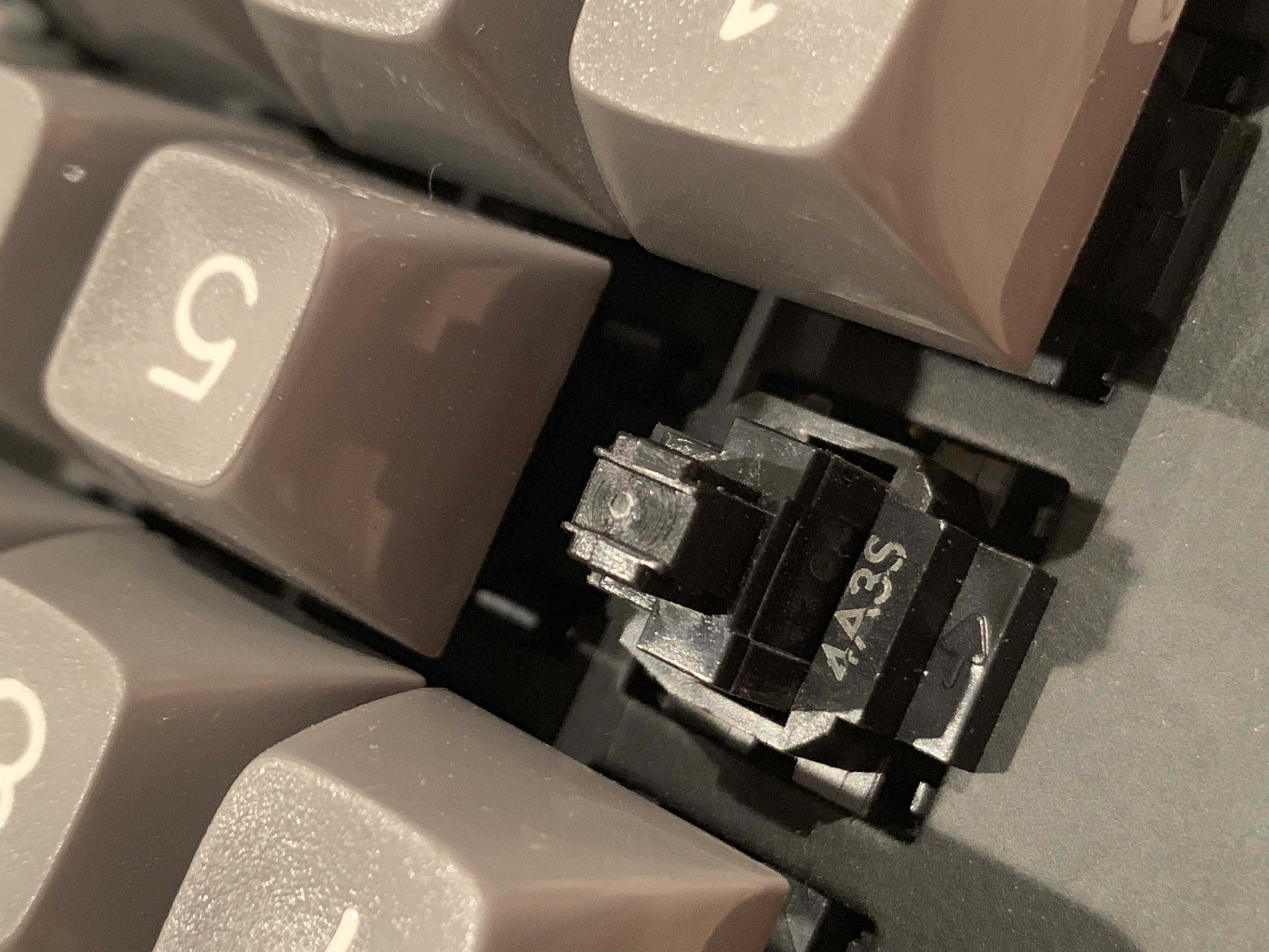 144100EC-9AC5-4CC0-98E8-5993CAD3303E.jpeg