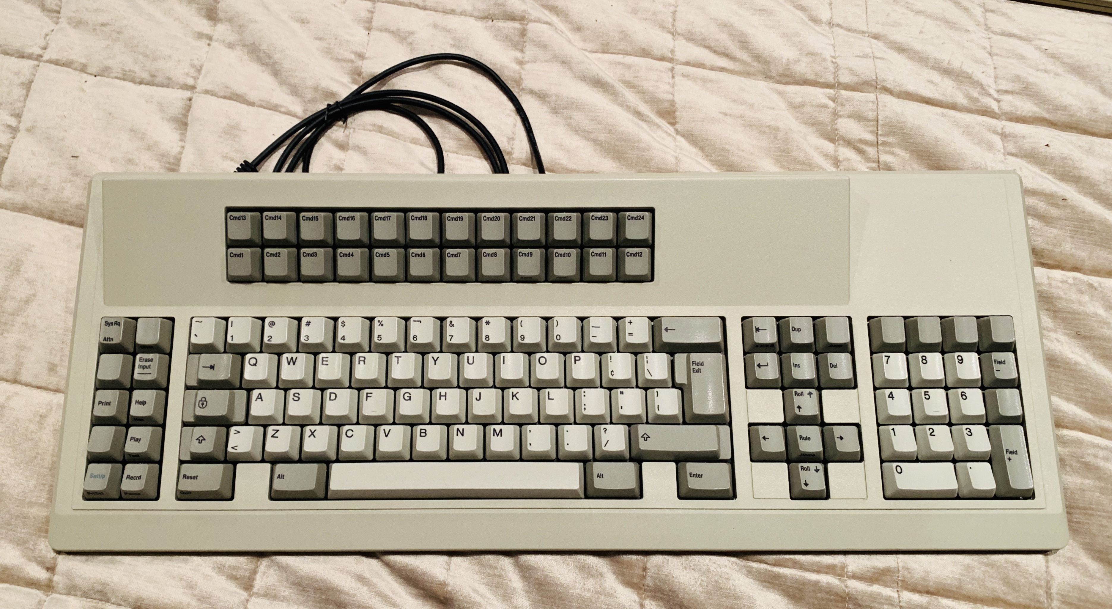 527AAE40-D23B-4F49-AB67-E81A9E1AC7AD.jpeg